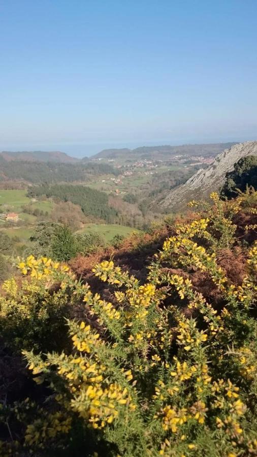 Apartamentos Rurales Andrea Llanes Dış mekan fotoğraf